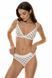 Жіночі бавовняні трусики сліп молочні Jasmine Lingerie Caroll 5214/8 L 5214/8 фото 13
