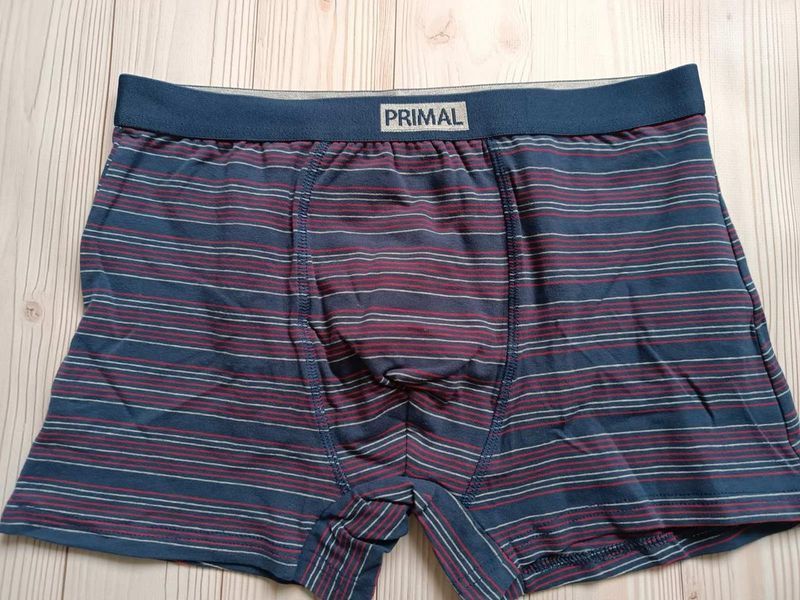 Мужские трусы боксеры в полоску синие Primal B320 2XL B320 фото